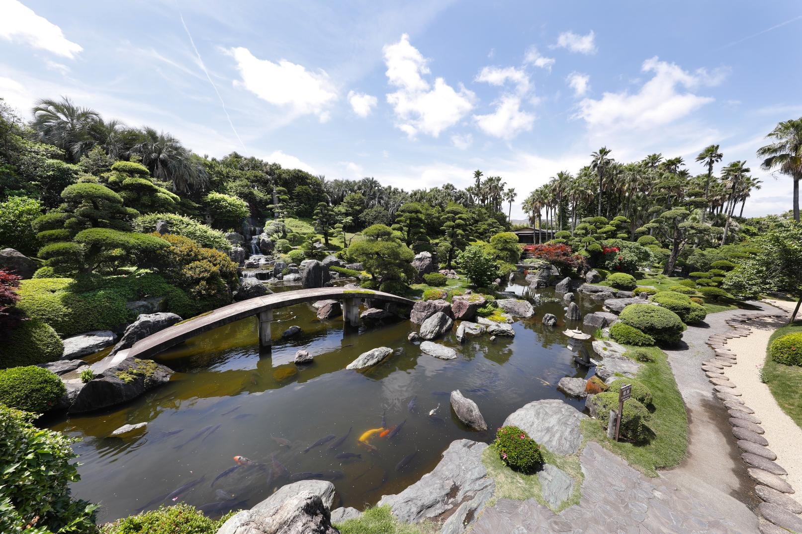 🌳 아마미노 사토 (아마미의 마을) 이미지 1